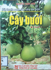 Image of Kỹ thuật canh tác cây ăn trái. Q1: Cây bưởi